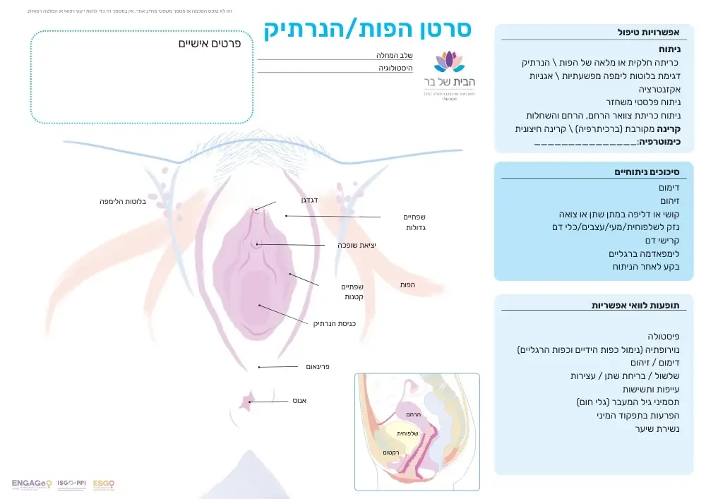 דף אבחון לסרטן הפות או הנרתיק